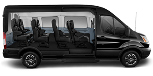 8 passenger custom vans
