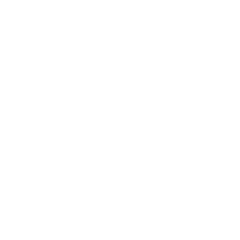 Audi Vehicle