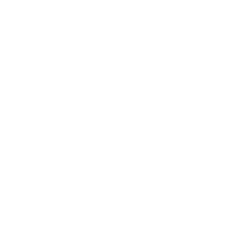 Dodge Vehicle
