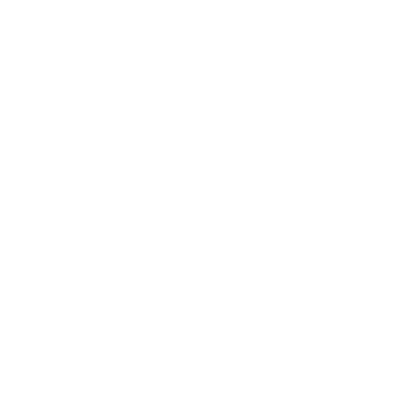 FIAT Vehicle
