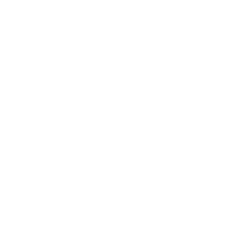 Ford Vehicle