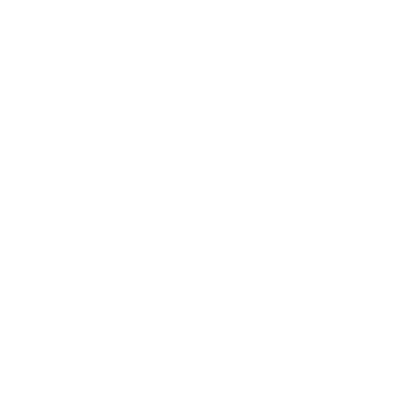 Hyundai Vehicle