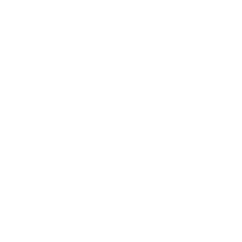 Lexus Vehicle