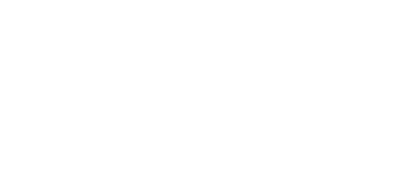 MINI Vehicle