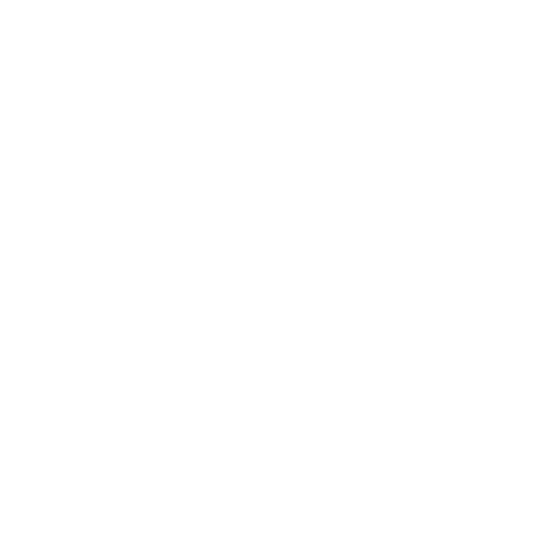 Mitsubishi Vehicle