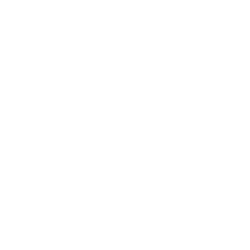 Nissan Vehicle