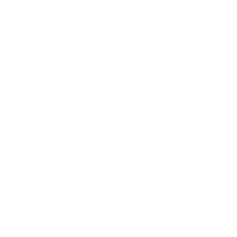 Porsche Vehicle