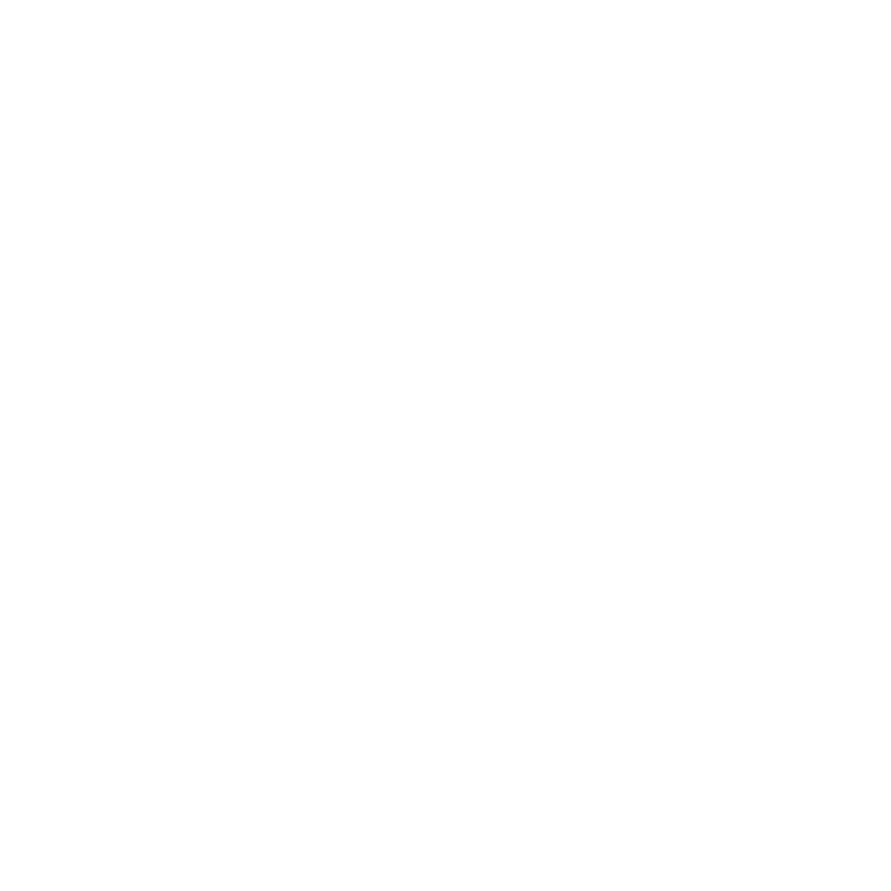 Subaru Vehicle