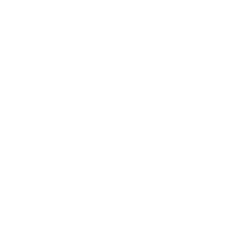 Tesla Vehicle