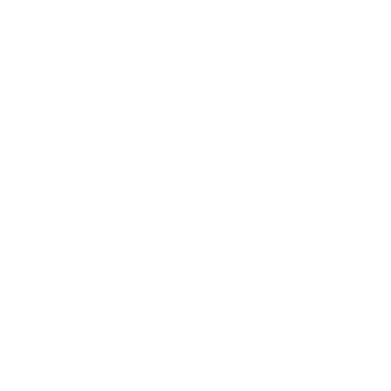 Toyota Vehicle