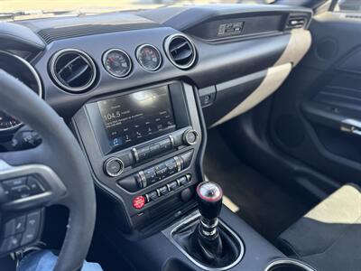 2018 Ford Mustang Shelby GT350 - Photo 11 - Yuma, AZ 85364