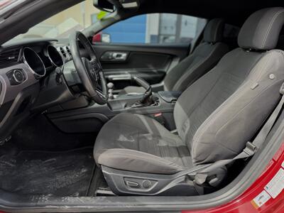 2017 Ford Mustang GT Premium   - Photo 4 - Yuma, AZ 85365