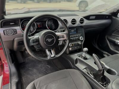 2017 Ford Mustang GT Premium   - Photo 3 - Yuma, AZ 85365