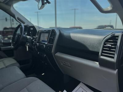 2019 Ford F-150 XLT   - Photo 6 - Yuma, AZ 85364