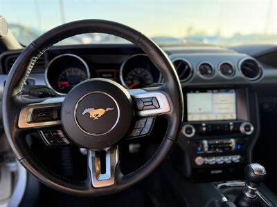 2017 Ford Mustang GT   - Photo 2 - Yuma, AZ 85365