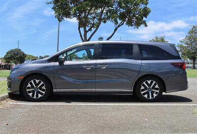 2025 Honda Odyssey EX-L   - Photo 6 - Honolulu, HI 96818