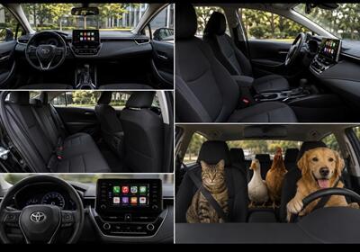 2024 Toyota Corolla   - Photo 2 - Honolulu, HI 96818