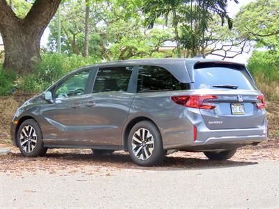 2026 Honda Odyssey EX-L   - Photo 7 - Honolulu, HI 96818