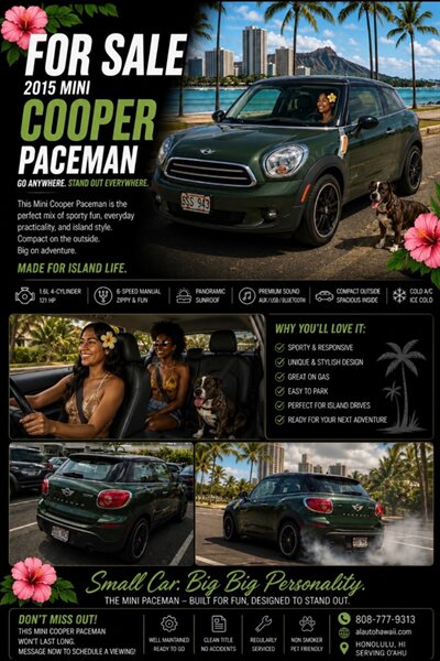 2015 MINI Paceman -'s photo