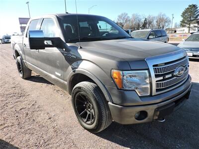 2012 Ford F-150 Platinum   - Photo 4 - Lexington, NE 68850