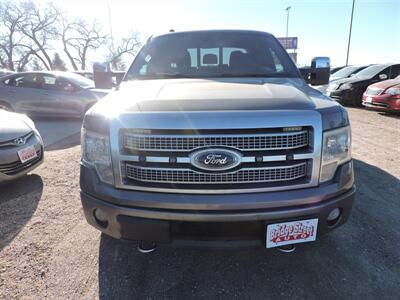 2012 Ford F-150 Platinum   - Photo 3 - Lexington, NE 68850