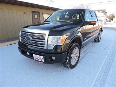 2012 Ford F-150 Platinum  