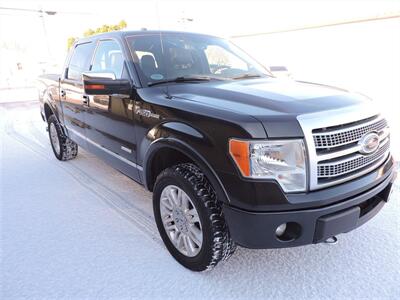 2012 Ford F-150 Platinum   - Photo 4 - Kearney, NE 68847