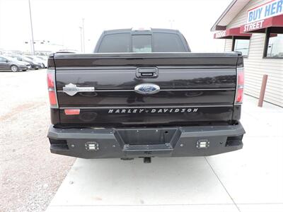 2010 Ford F-150 Harley-Davidson   - Photo 6 - Lexington, NE 68850