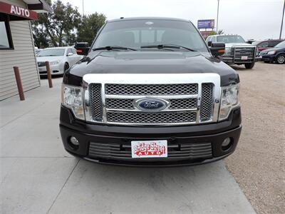 2010 Ford F-150 Harley-Davidson   - Photo 3 - Lexington, NE 68850