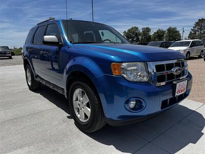 2011 Ford Escape XLT   - Photo 2 - Lexington, NE 68850