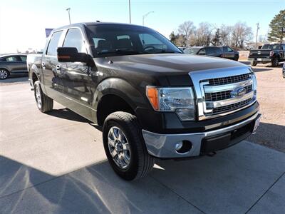 2014 Ford F-150 FX4   - Photo 4 - Lexington, NE 68850