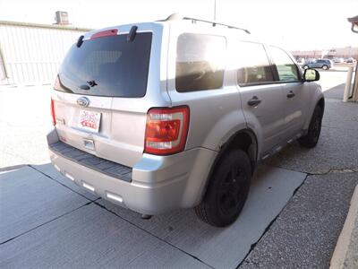 2011 Ford Escape XLT   - Photo 5 - Kearney, NE 68847