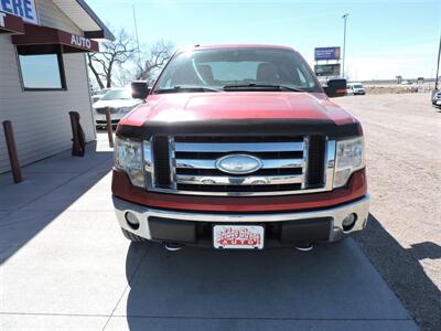 2009 Ford F-150 XL   - Photo 3 - Lexington, NE 68850