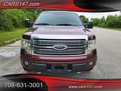 2009 Ford F-150 Platinum   - Photo 9 - Midlothian, IL 60445