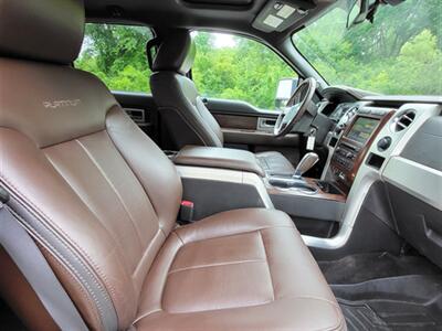2009 Ford F-150 Platinum   - Photo 16 - Midlothian, IL 60445