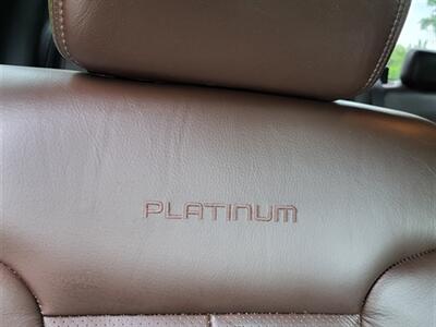 2009 Ford F-150 Platinum   - Photo 23 - Midlothian, IL 60445