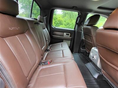 2009 Ford F-150 Platinum   - Photo 18 - Midlothian, IL 60445