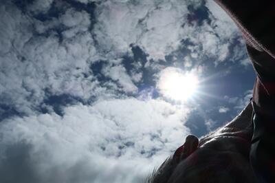 2012 Ford Expedition XLT - Photo 41 - Lakeland, FL 33801