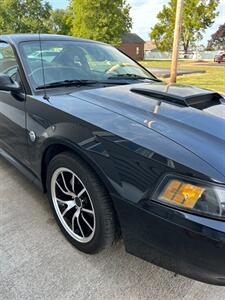 2004 Ford Mustang GT Deluxe   - Photo 7 - Macomb, IL 61455