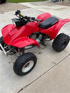 2002 Honda 300 EX   - Photo 2 - Macomb, IL 61455