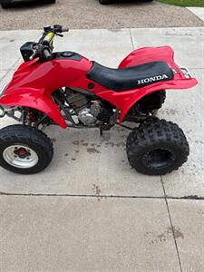 2002 Honda 300 EX   - Photo 3 - Macomb, IL 61455