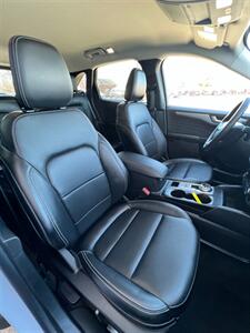 2025 Ford Escape Platinum   - Photo 11 - Macomb, IL 61455