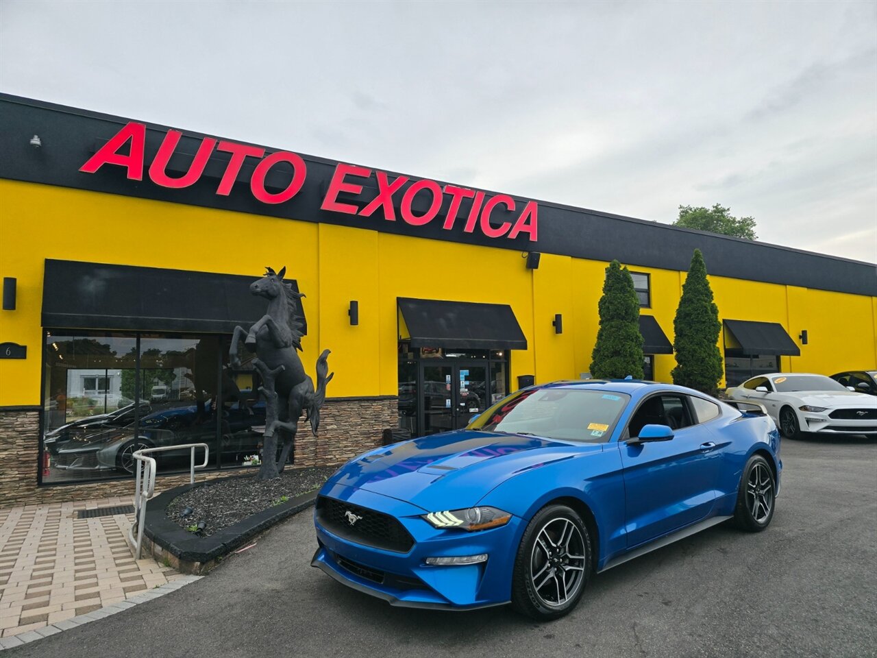 2021 Ford Mustang EcoBoost Premium   - Photo 1 - Red Bank, NJ 07701