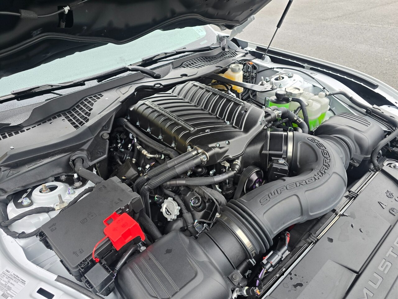 2025 Ford Mustang Shelby Super Snake - Photo 28 - Red Bank, NJ 07701