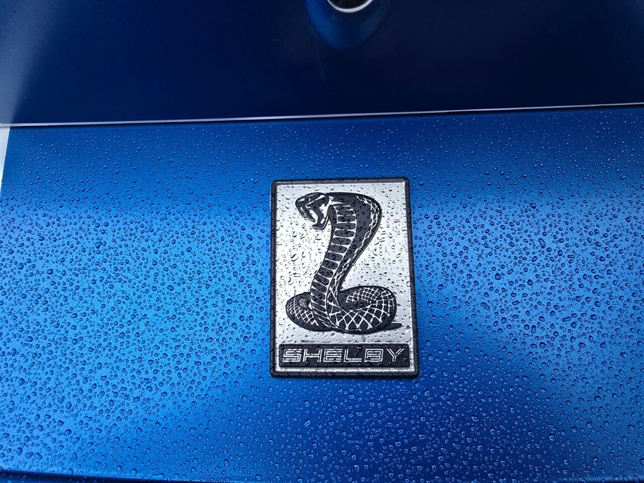2025 Ford Mustang Shelby Super Snake - Photo 35 - Red Bank, NJ 07701