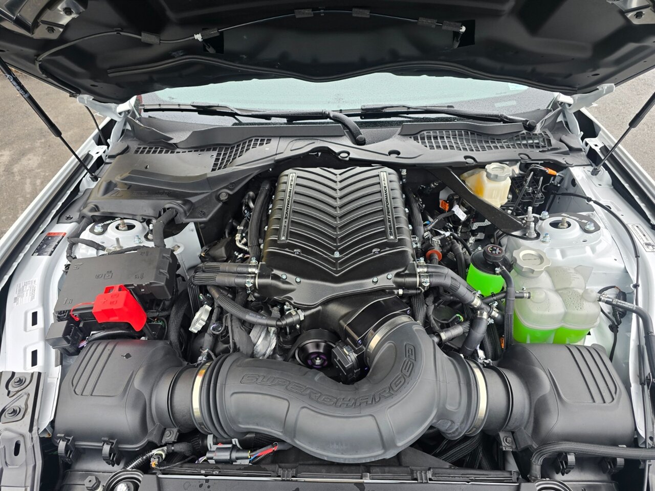 2025 Ford Mustang Shelby Super Snake - Photo 29 - Red Bank, NJ 07701