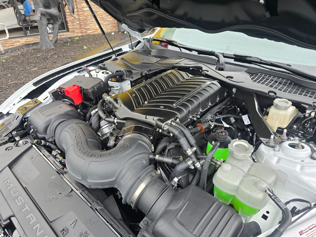 2025 Ford Mustang Shelby Super Snake - Photo 30 - Red Bank, NJ 07701