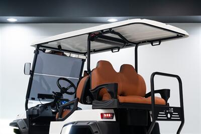 2024 ICON-PURE P40L LSV   - Photo 21 - Neptune City, NJ 07753