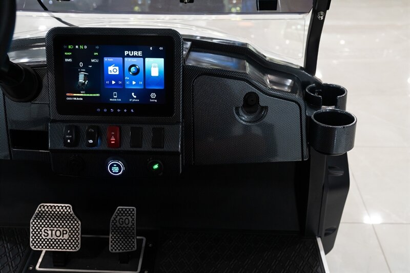 2024 ICON-PURE P40L LSV - Photo 24 - Neptune City, NJ 07753