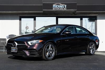 2019 Mercedes-Benz CLS CLS 450 4MATIC  